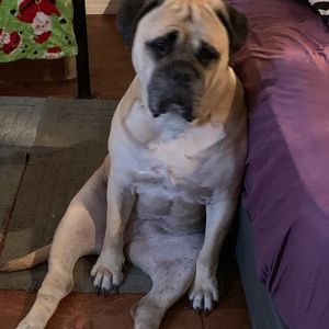 Meet your Posher, Trisha